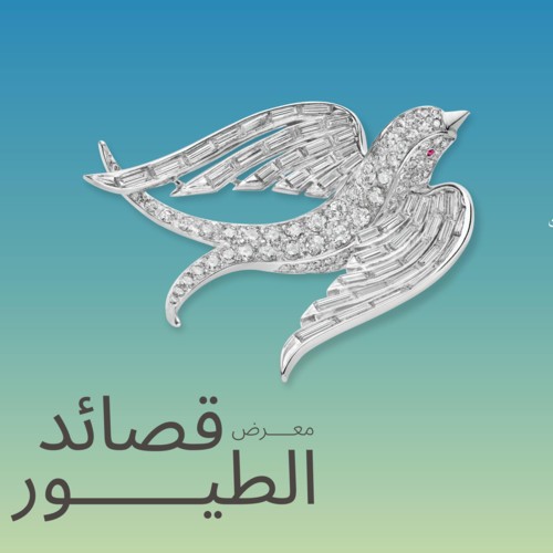 للمرة الأولى في الشرق الأوسط معرض "قصائد الطيور"