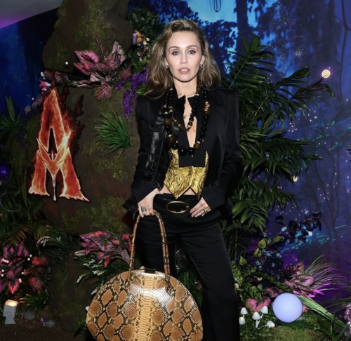 مايلي سايرس تعلن خطوبتها، وهذا هو خطيبها