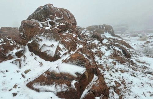 جبل اللوز في السعودية يكتسي بالثلج