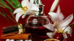 عطور الكرز تتصدّر مشهد الجمال في 2025 وإليكِ أجملها!