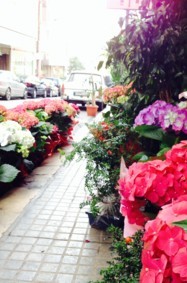الأزهار تفترش شوارع بيروت!