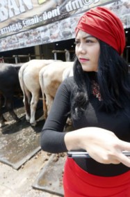 معرض للأبقار الفاخرة في إندونيسيا