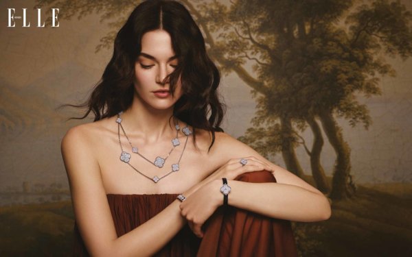 VCA في دائرة الضوء