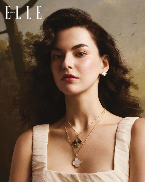 VCA في دائرة الضوء