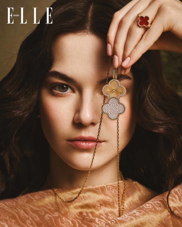 VCA في دائرة الضوء