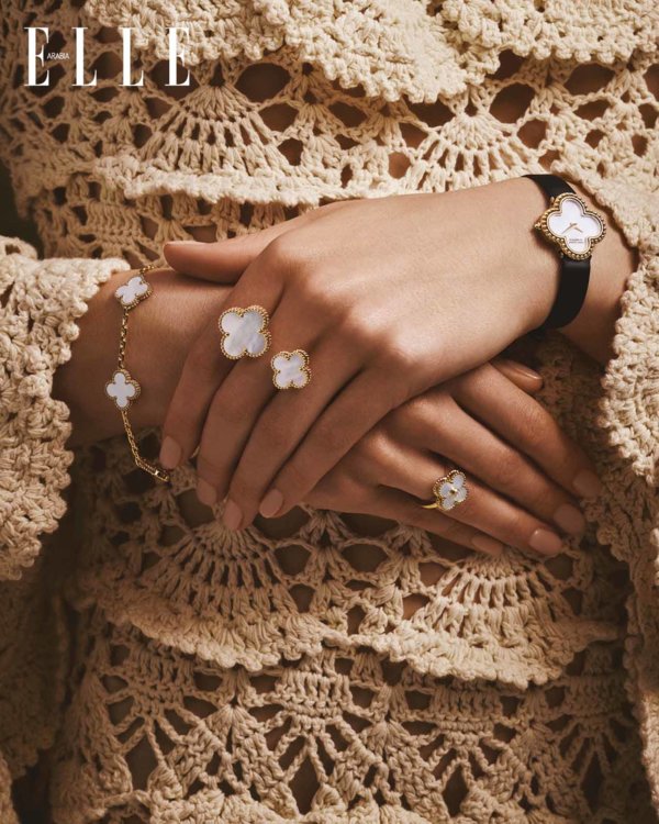 VCA في دائرة الضوء