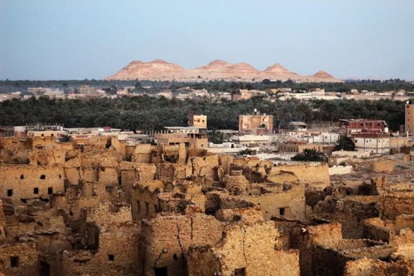 واحة سيوة في مصر